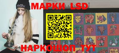 spice Новодвинск