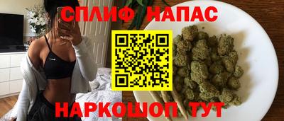 ешки Новозыбков