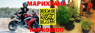 ешки Новозыбков