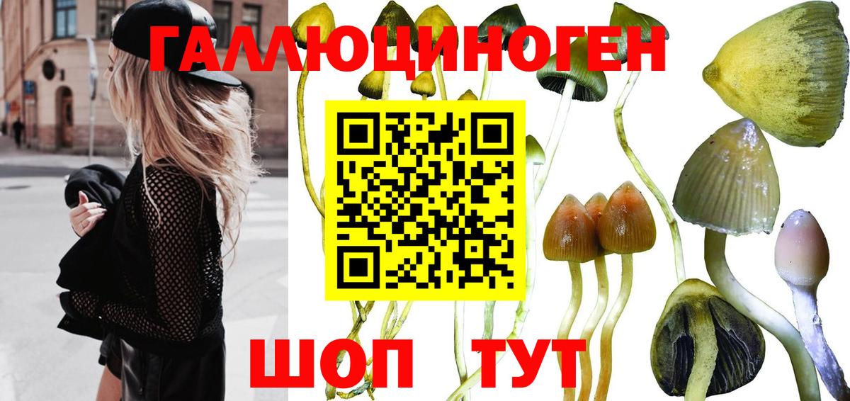 дарнет шоп  Вход с VPN  Севастополь  Галлюциногенные грибы Cubensis 